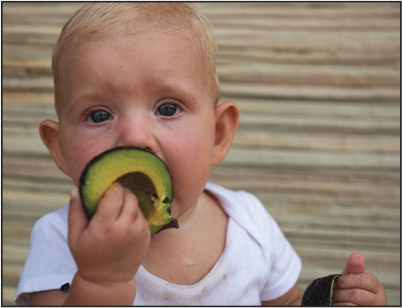 Baby with Avocado