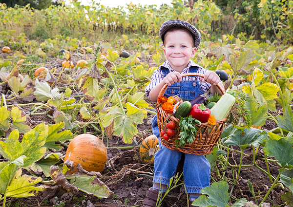 Fall Produce Guide: Incorporating Veggies into Kids Meals<br />
