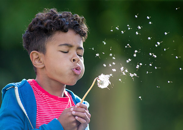 ABCs of Seasonal Allergies