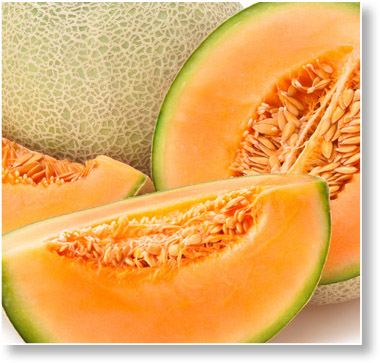 Cantaloupe